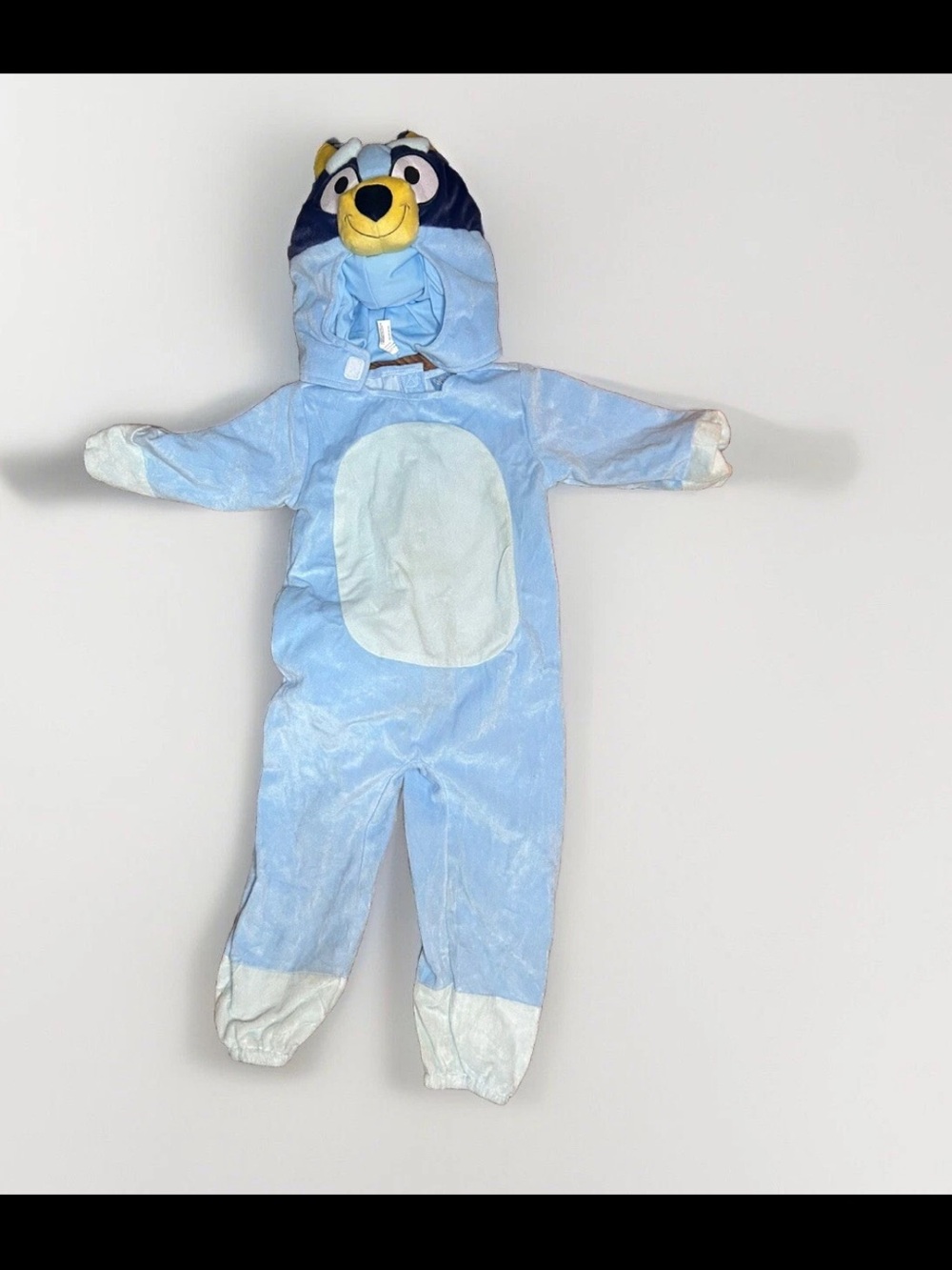 Bluey Costume Toddler Size 3T 4T child Kids Halloween Dress up TV Show - Picture 2 of 8